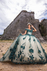 Ball Gown Emerald Green Quince Dresses Off the shoulder with 3D Flowers